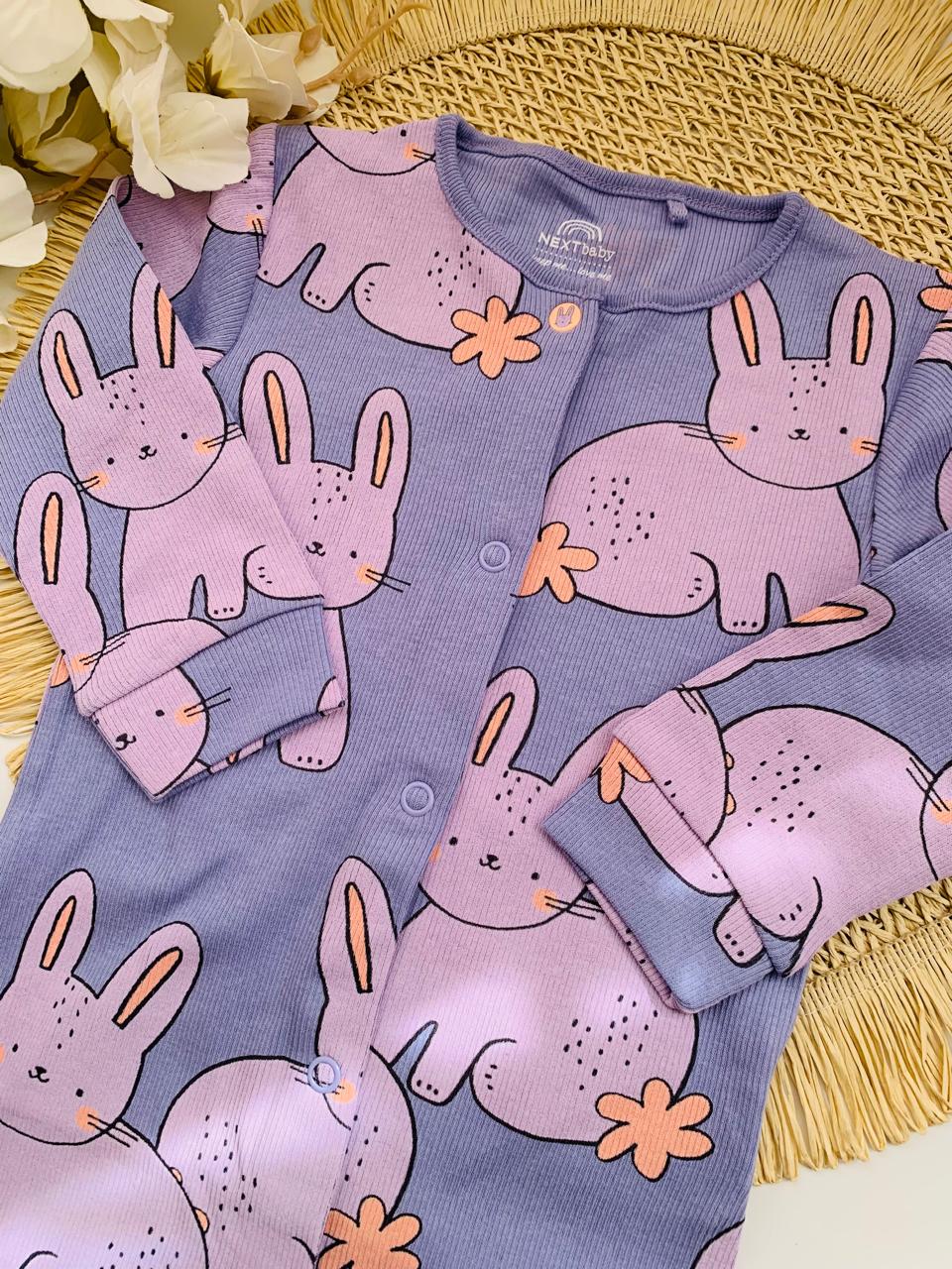 Next Printed Bunnies Sleepsuit
