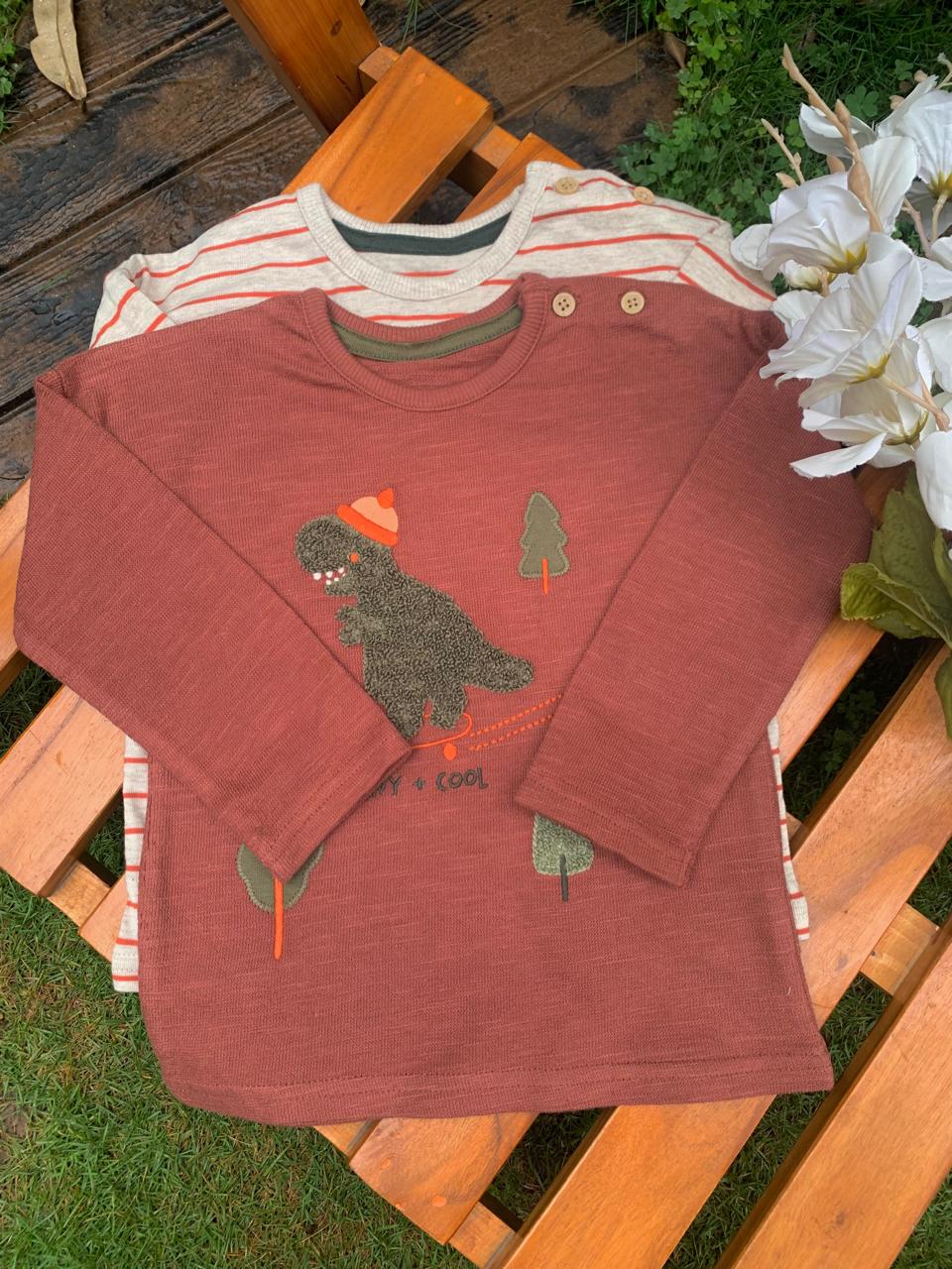 George Rust Dinosaur Pack of 2 Shirts