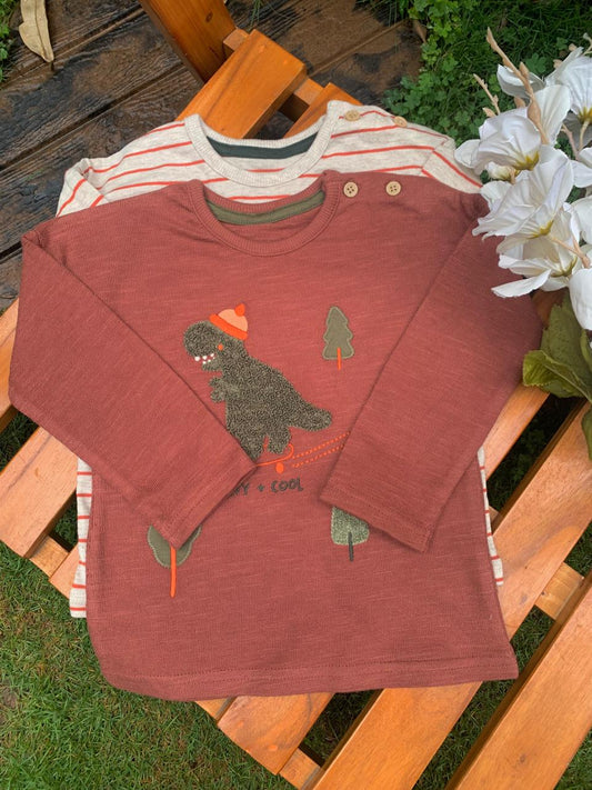 George Rust Dinosaur Pack of 2 Shirts
