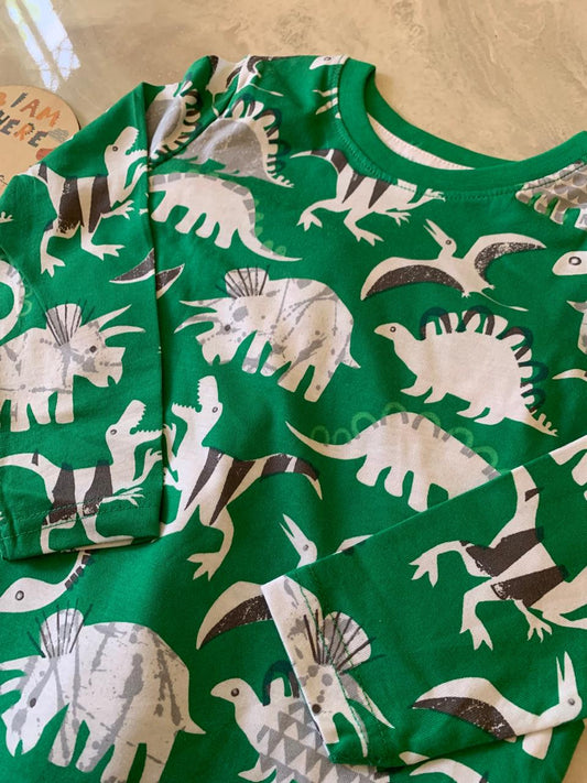 George Dino Shirt & Trouser Set