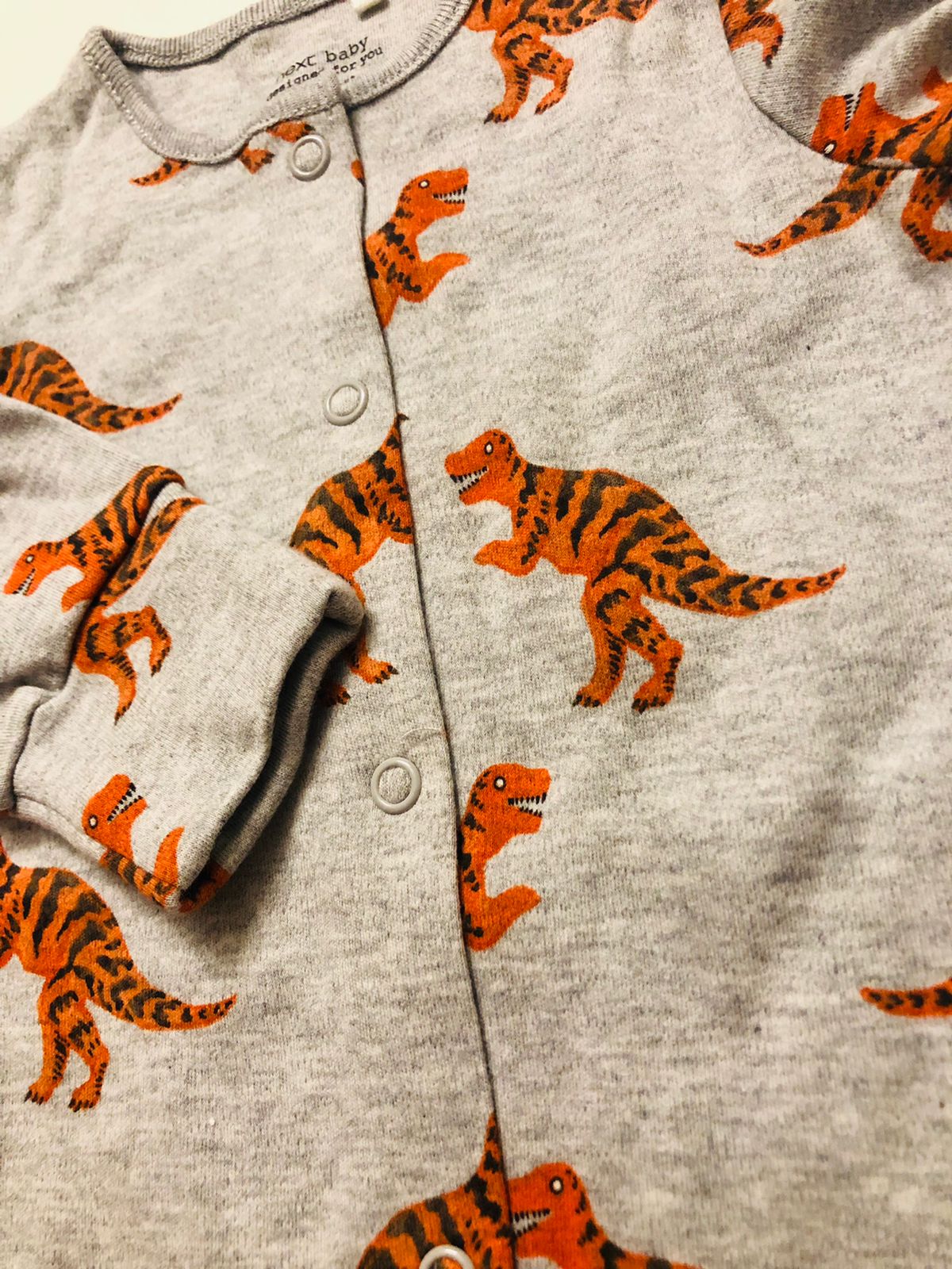 Dinosaurs Sleepsuit