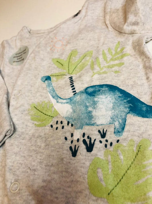 Dino Themed Sleepsuit