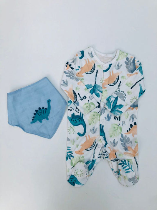 Dino Themed Set