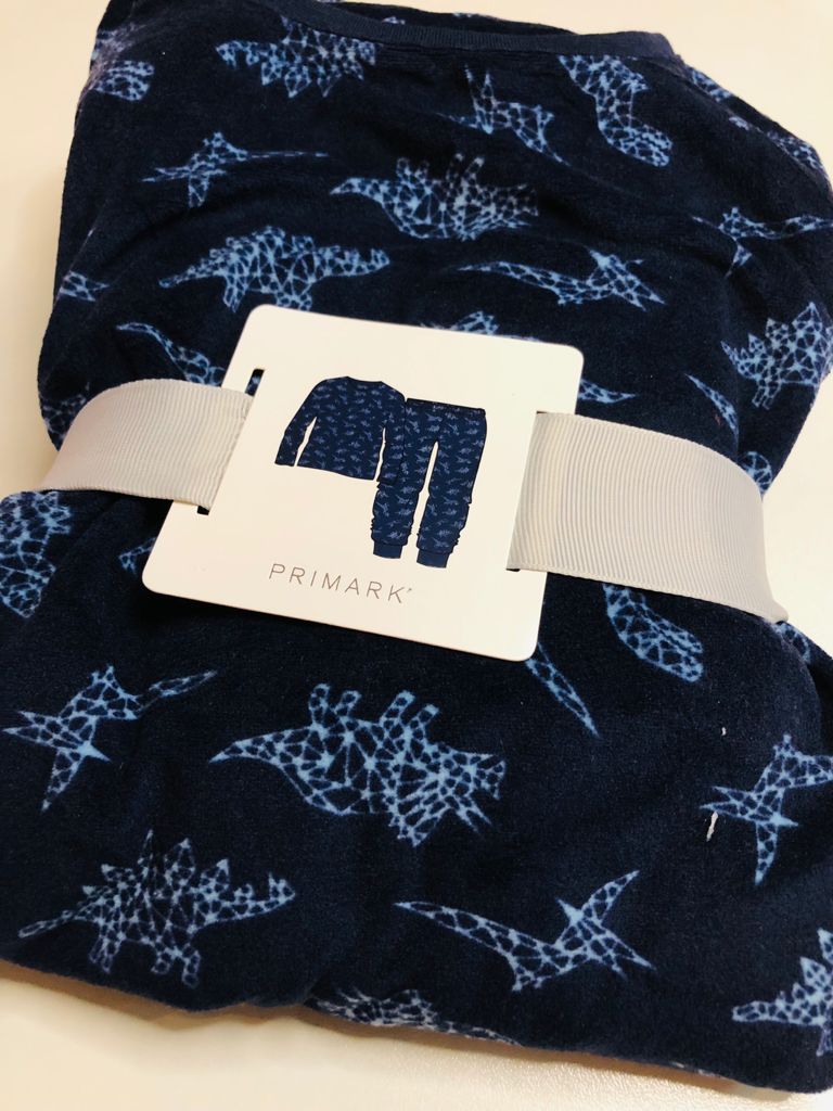 Dinosaurs on Navy Blue Fleeced PJ Set FLeeced